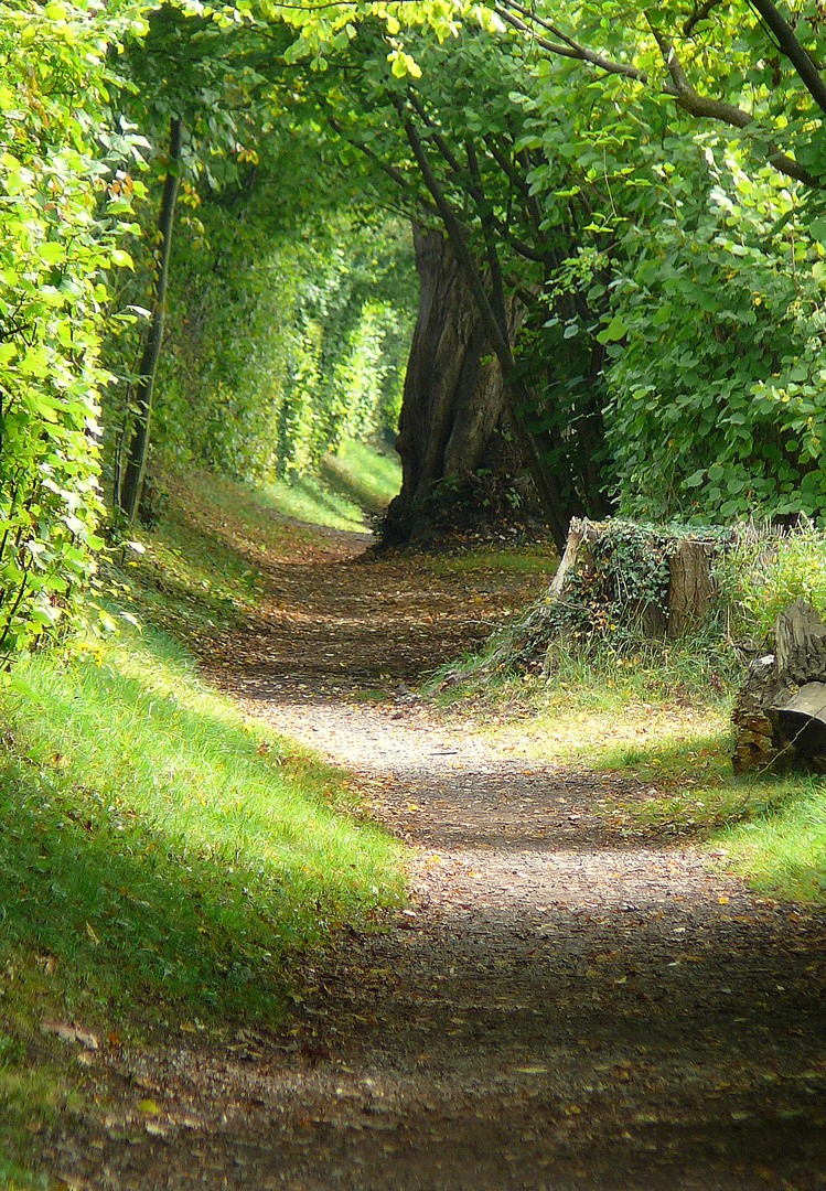 Naturtunnel