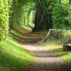 Naturtunnel