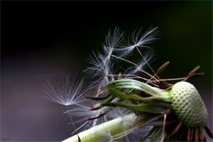 Naturübungsgerät für untalentierte Frauen