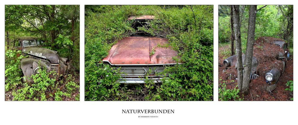 Naturverbunden