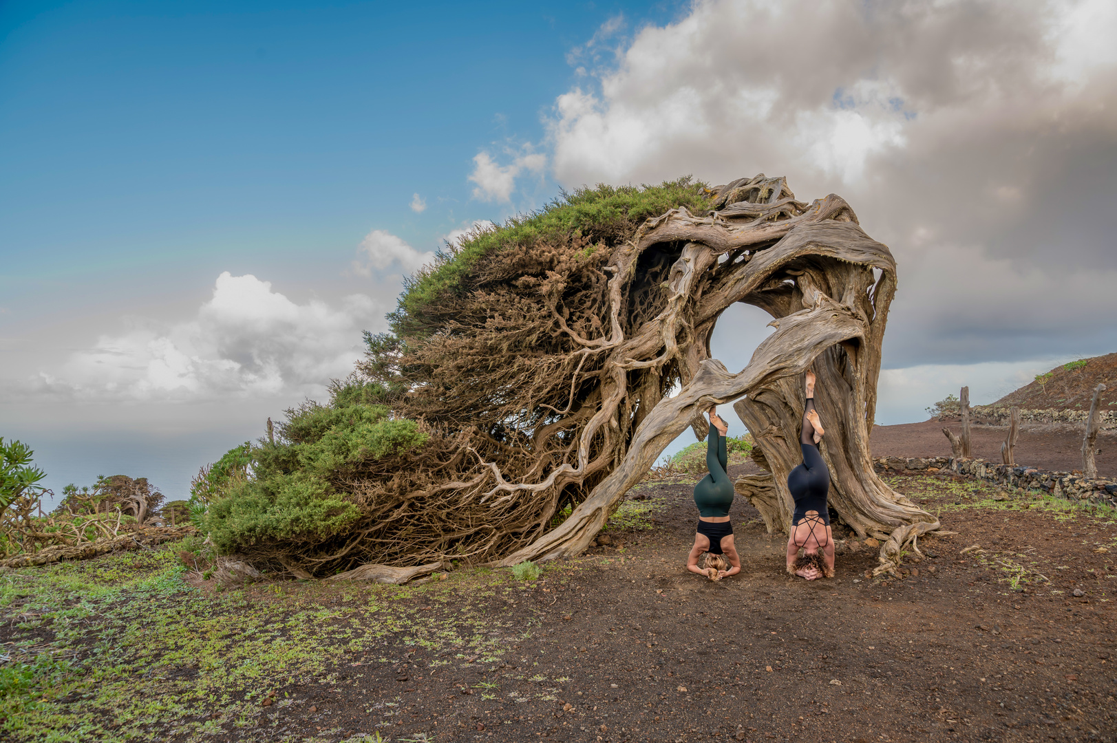 Naturverbunden mit Yoga