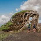 Naturverbunden mit Yoga