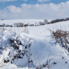 …. Naturwaschmittel: Zwingt zuverlässig Grau raus …