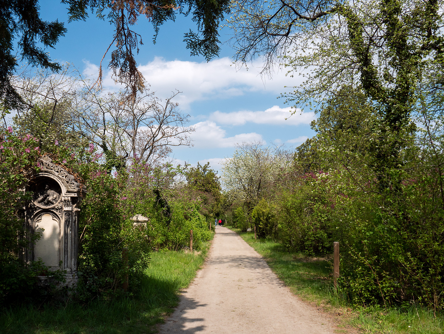 naturwege mit viel grün am st. marxer friedhof und dazwsichen...