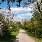 naturwege mit viel grün am st. marxer friedhof und dazwsichen...