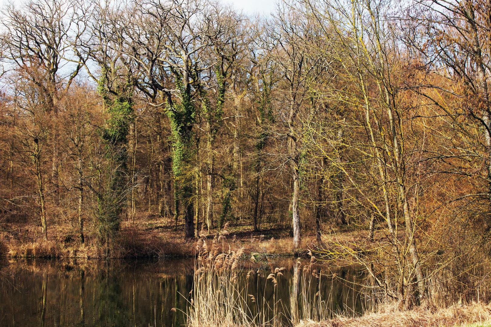 Naturweiher "Zeuterner See"