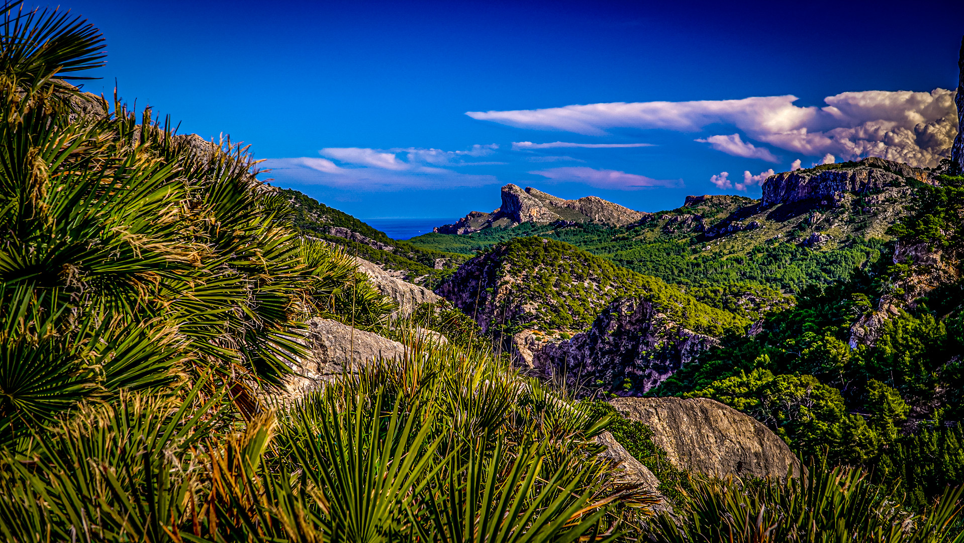 Naturwelterbe Formentor