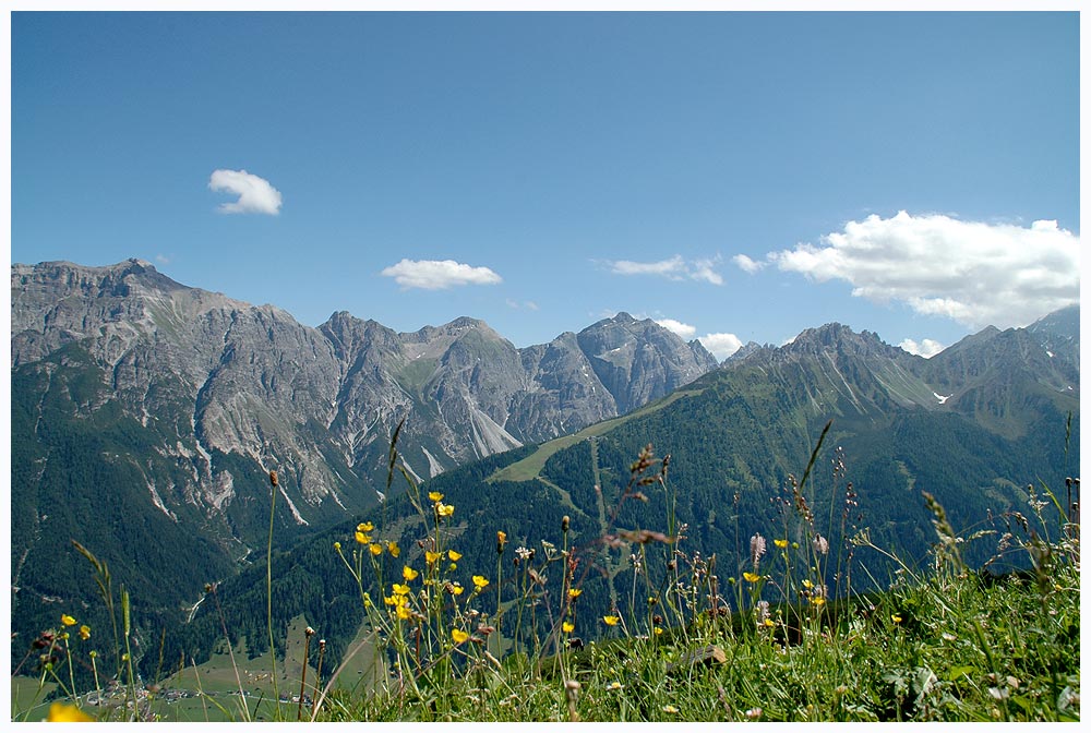 Naturwiese mit Ausblick ...