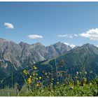 Naturwiese mit Ausblick ...