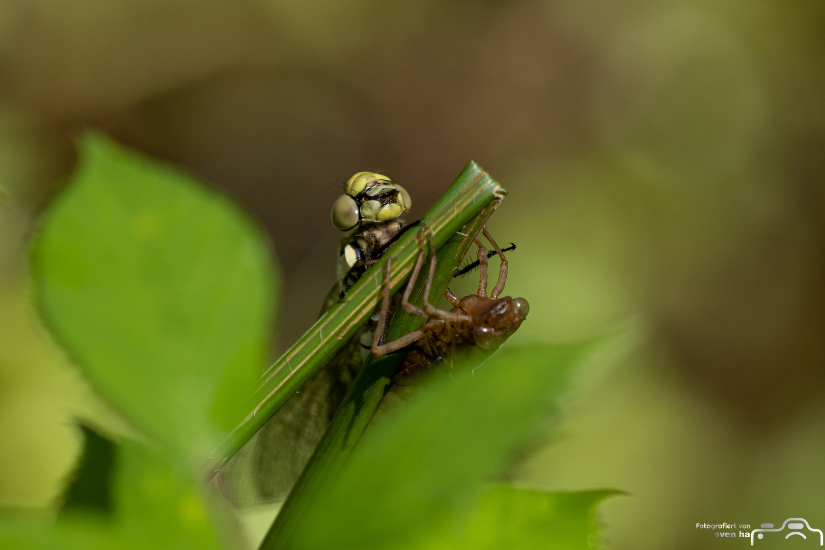 Naturwunder 1