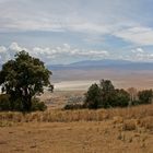 Naturwunder Ngorongoro-Krater