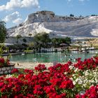 Naturwunder Pamukkale