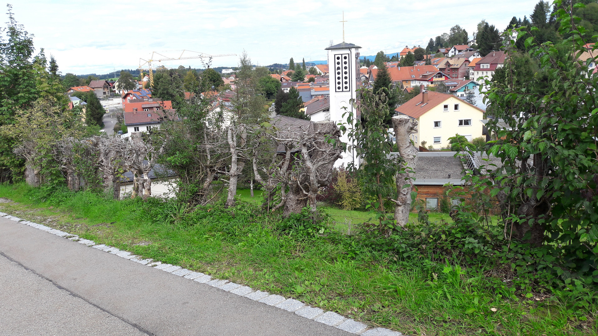 Naturzaum mit Durchblick auf Scheidegg