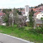 Naturzaum mit Durchblick auf Scheidegg