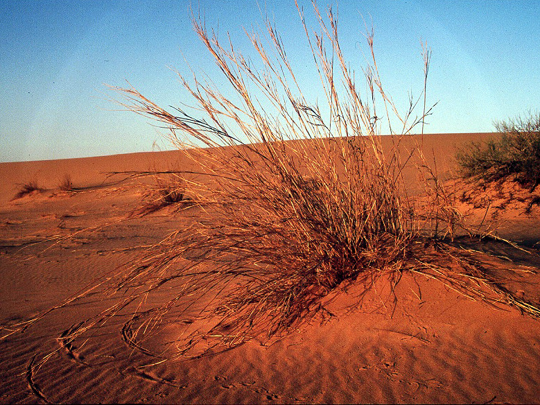 Naturzirkel