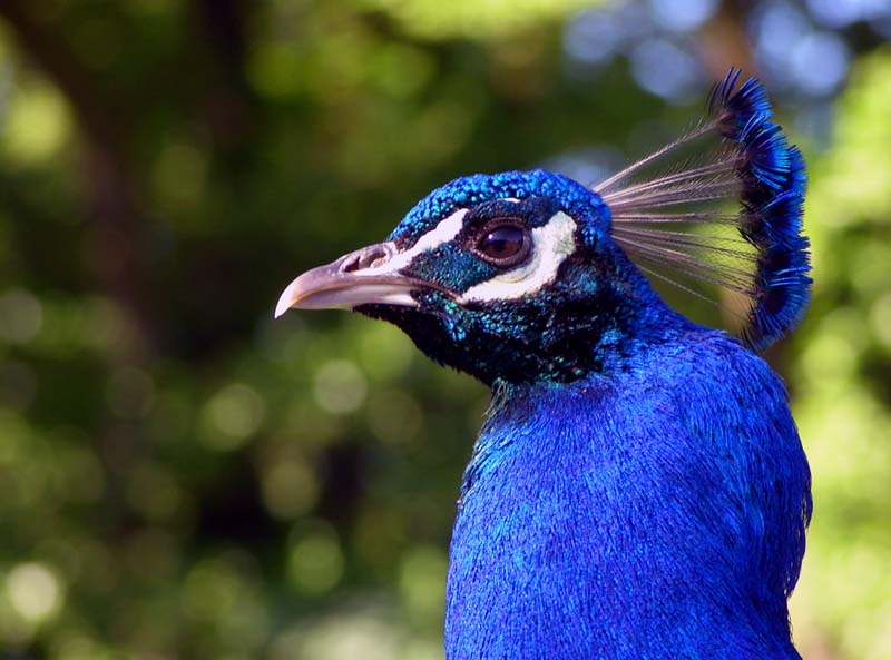 Naturzoo Rheine 2