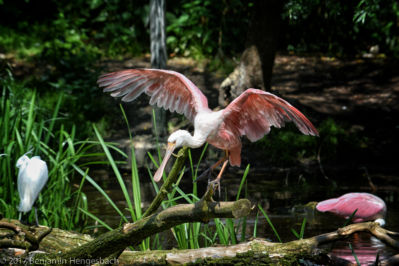 NaturZoo Rheine 