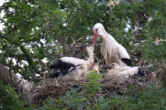 Naturzoo Rheine