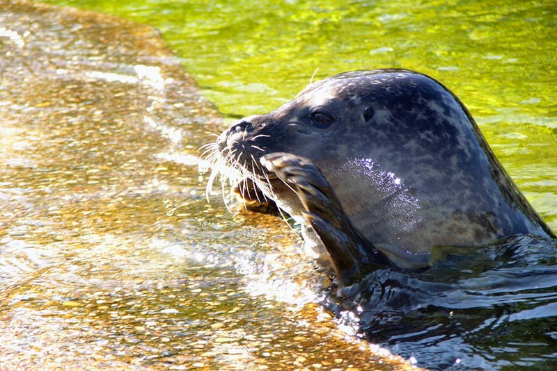 Naturzoo Rheine 5