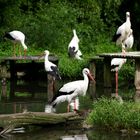 NaturZoo Rheine