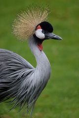 Naturzoo Rheine