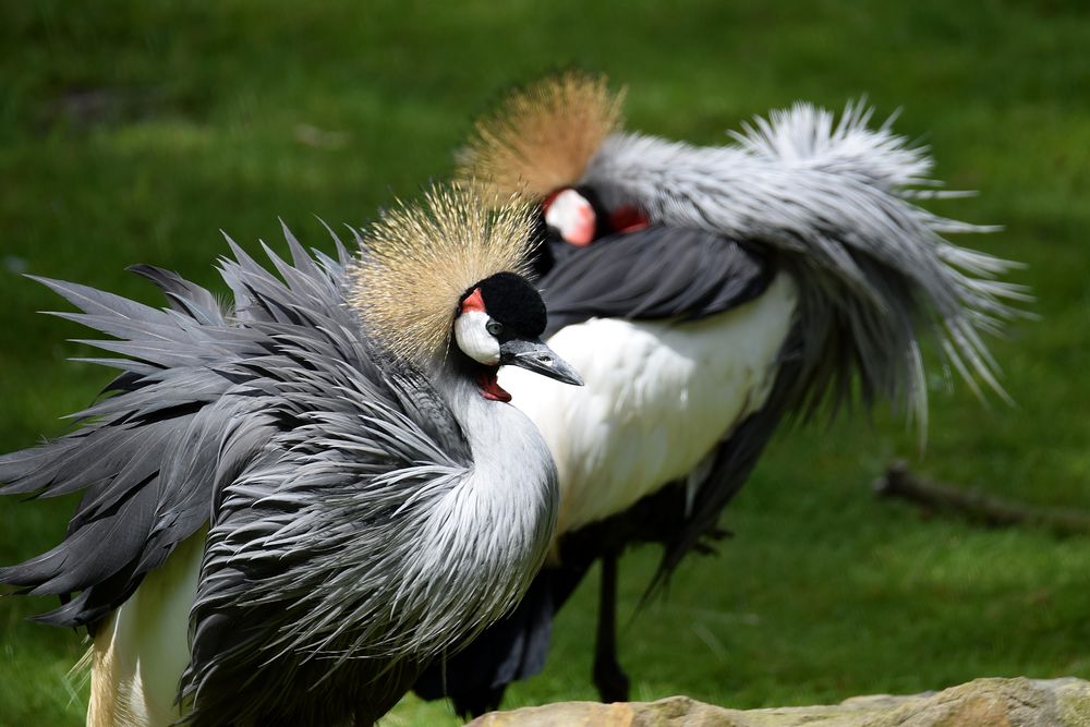 Naturzoo Rheine