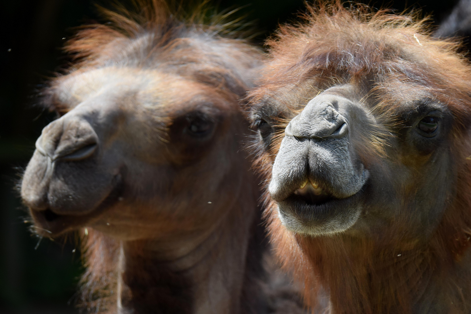 Naturzoo Rheine