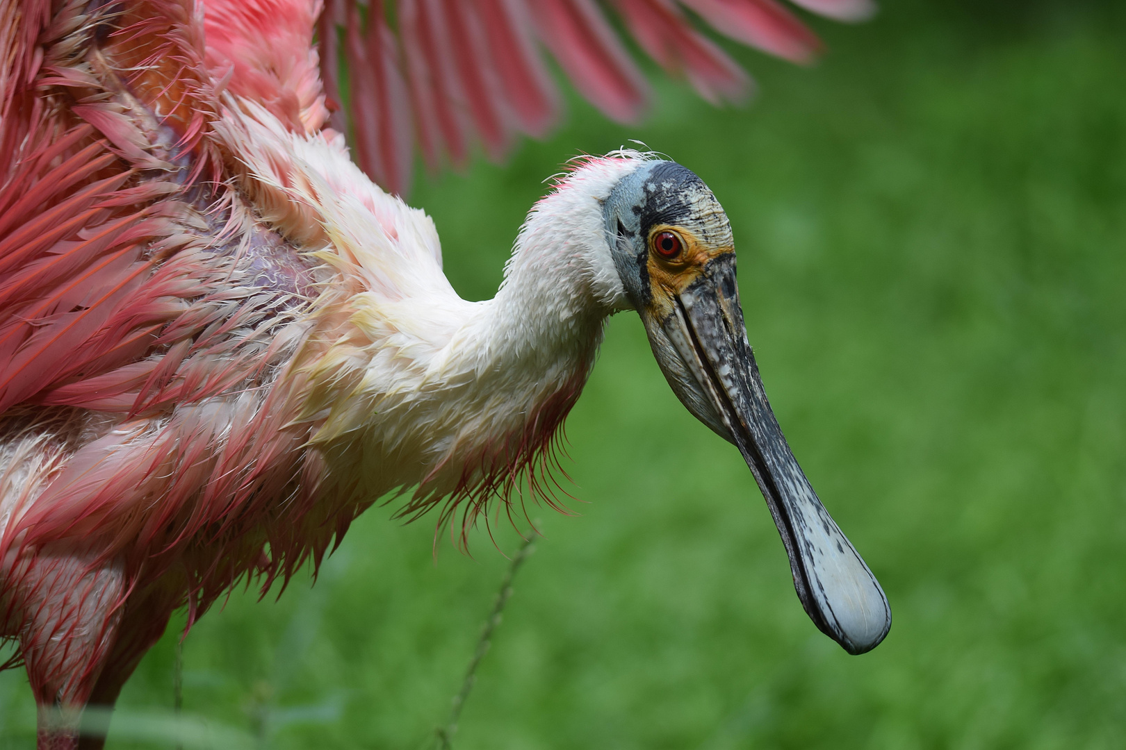 Naturzoo Rheine