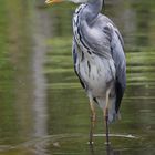 Naturzoo Rheine