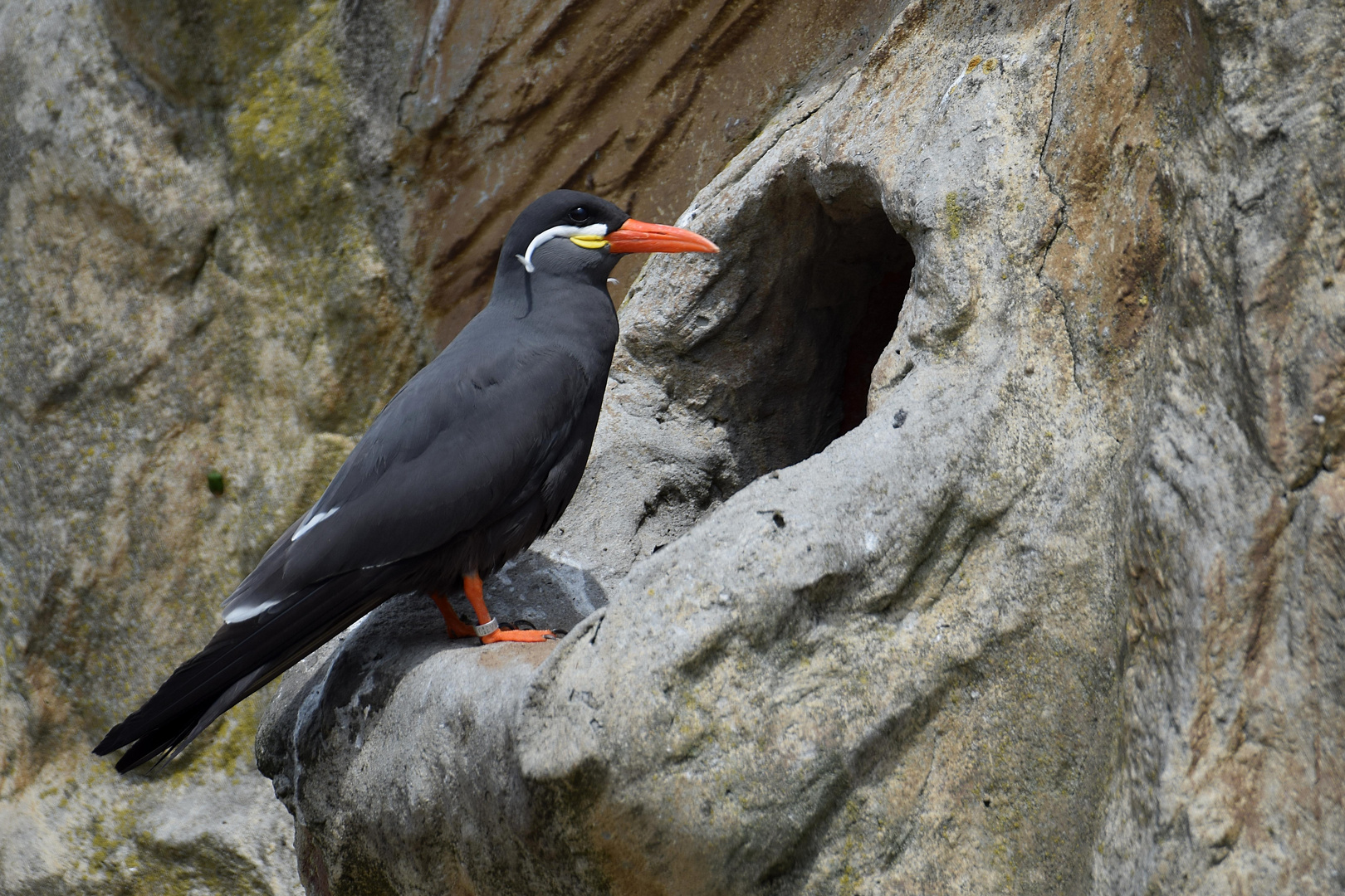 Naturzoo Rheine