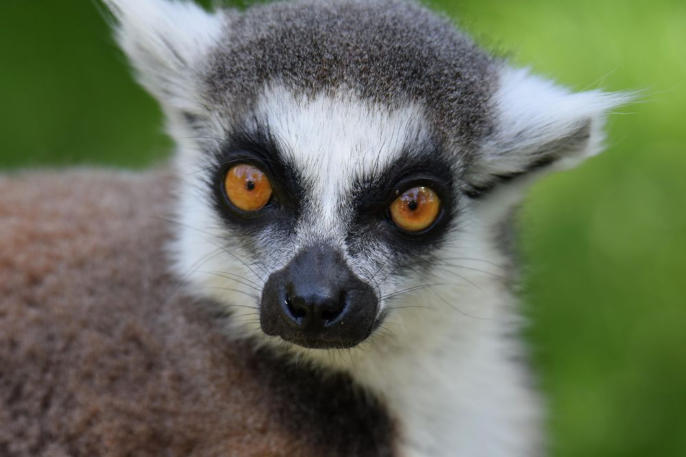 Naturzoo Rheine