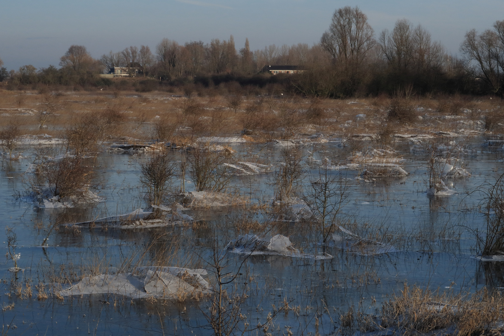 Natuur-reservaat-Ooijpolder (NL)