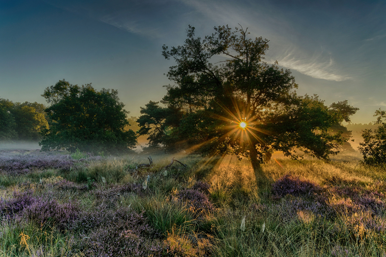 Natuurreservaat Het Quin (NL)