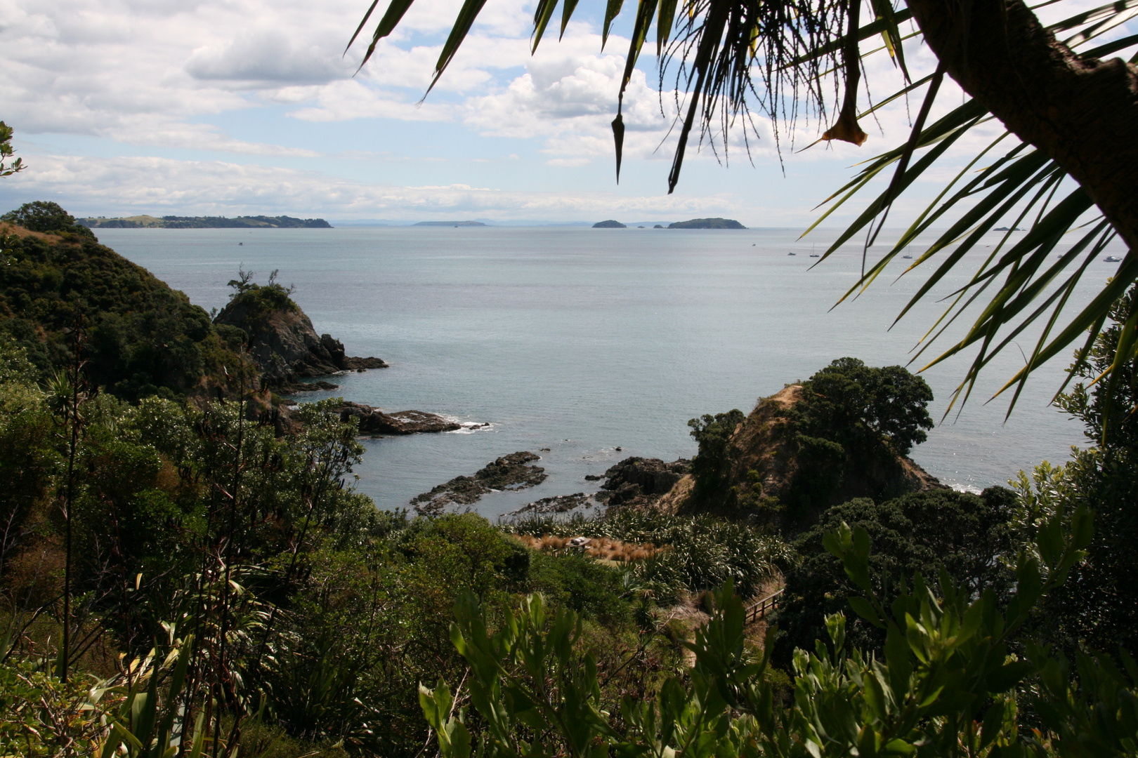 Nau mai to Waiheke Island