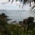 Nau mai to Waiheke Island