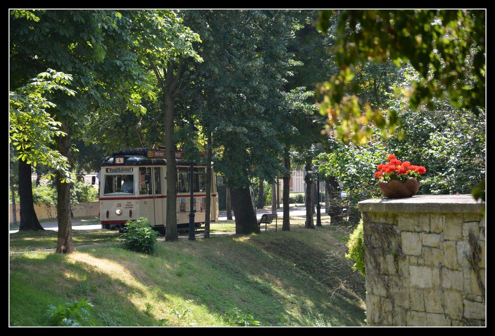 Naumburg (Saale) Die Straßenbahn ist unterwegs