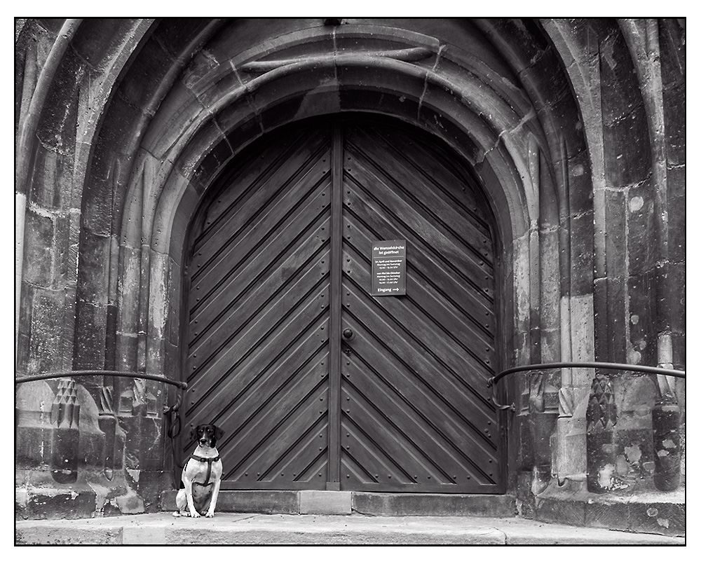 Naumburg Wenzelkirche ? „Hunde bitte draußen bleiben“ ?