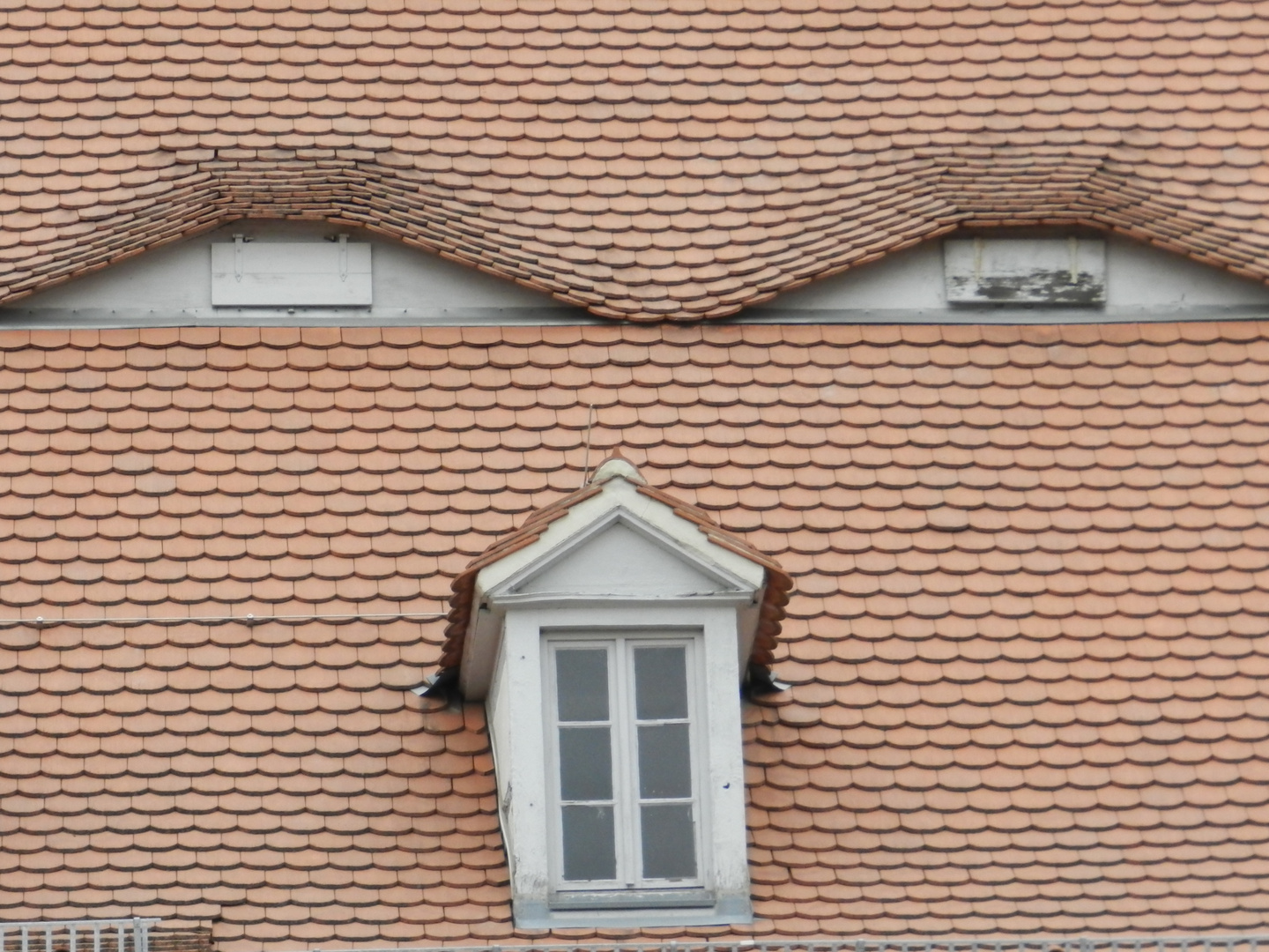 Naumburger Dach