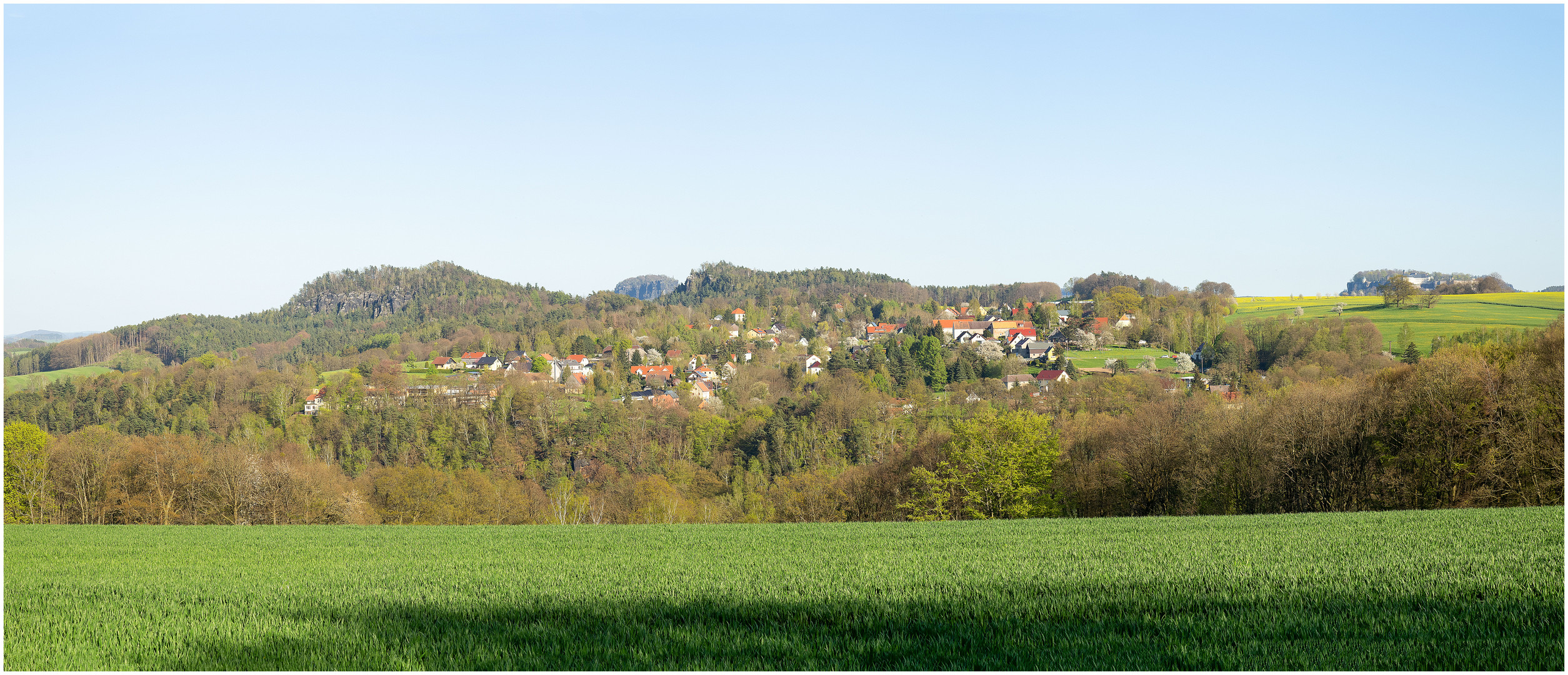 Naundorfer Frühling....