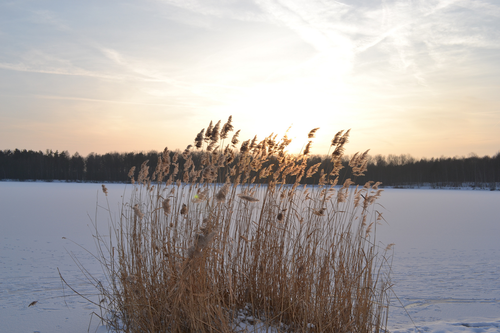 Naunhofer See im Winter