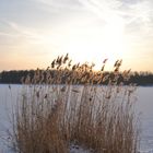 Naunhofer See im Winter