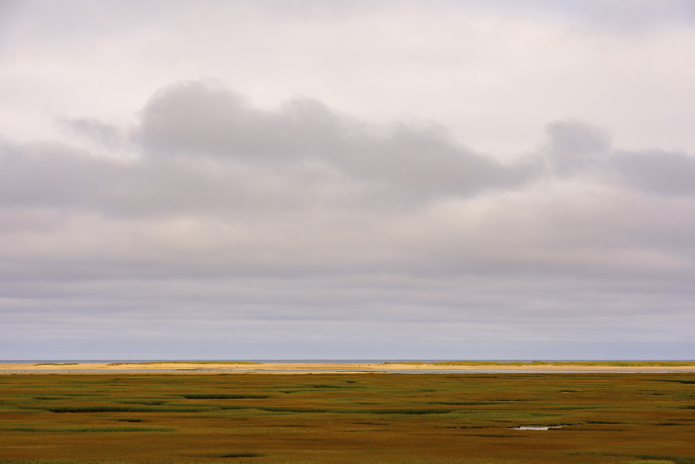 Nauset Marsh-Cape Cod