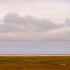 Nauset Marsh-Cape Cod