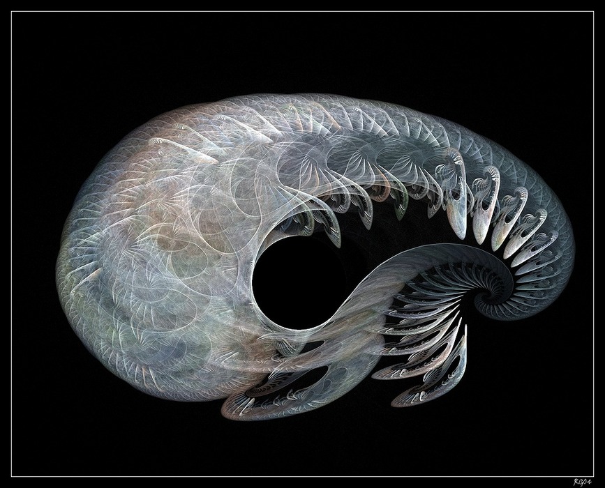 "Nautilus"