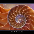 Nautilus