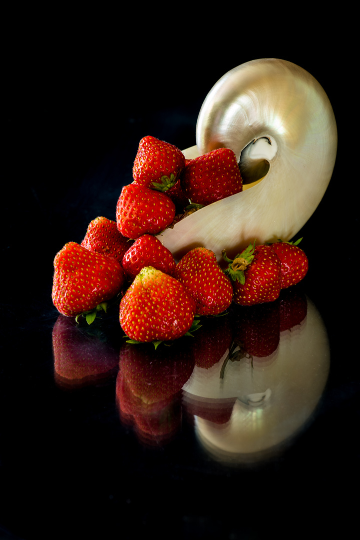 Nautilus mit Erdbeeren