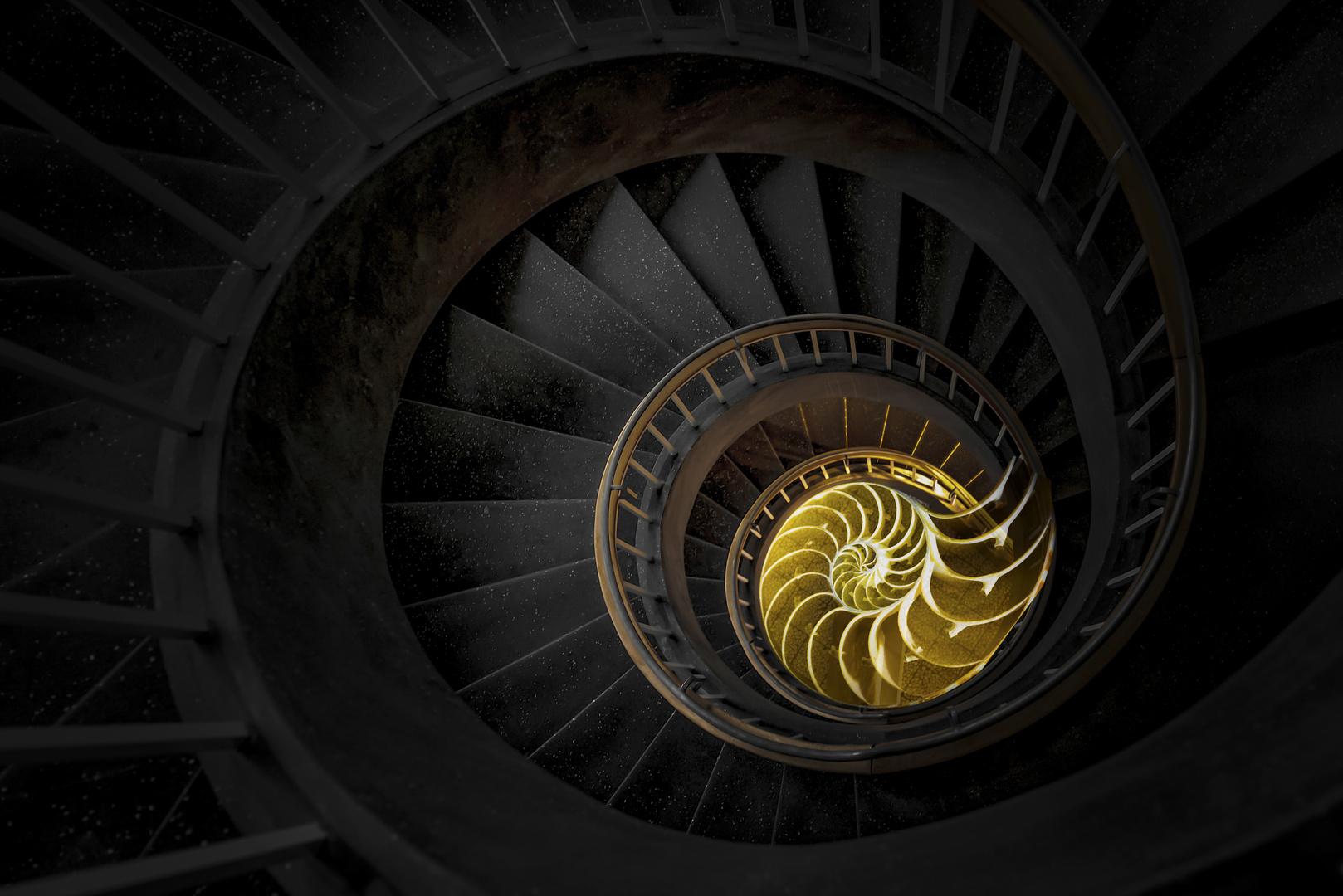 Nautilus staircase