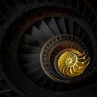 Nautilus staircase