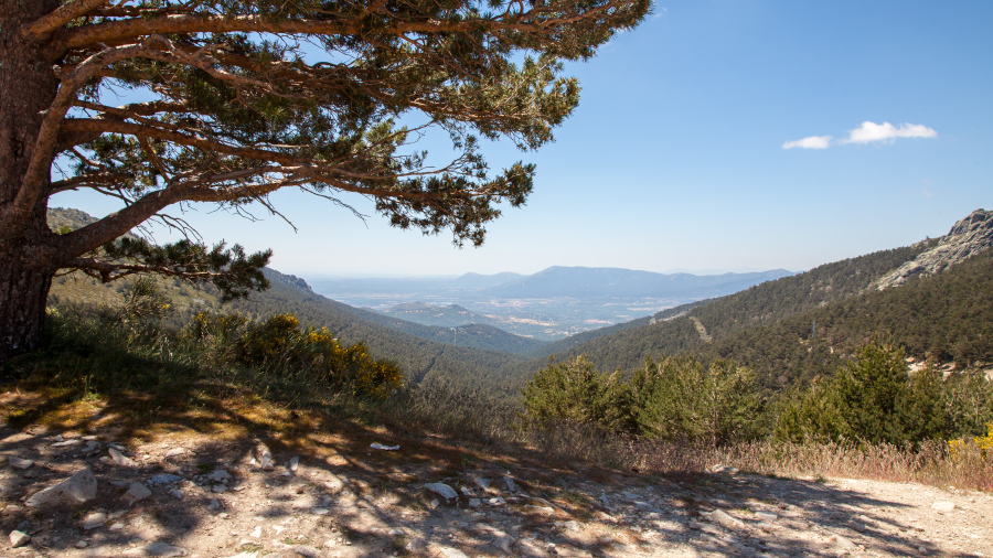 Navacerrada - Blick ins Tal