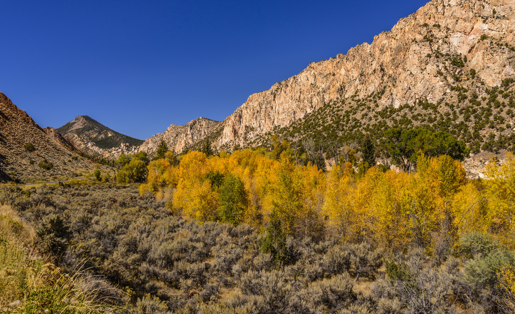 Navajo Cliffs, Flaming Gorge, Utah, USA